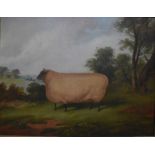 Richard Whitford (1821-1890) - Study of a sheep in a landscape, oil on canvas, signed,