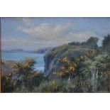 CB Holmes - Coastal view with gorse, oil