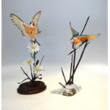 A porcelain model of a kingfisher standing on metal naturalistic supports raised on a glass base,