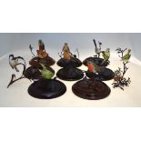 Nine Coalport porcelain models of songbirds, each raised on metal naturalistic supports to/w an un-