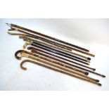 A bundle of walking sticks, including thumbstick and wading staff