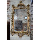 An 18th century carved giltwood and gesso framed mirror, the silvered plate with a pierced foliate