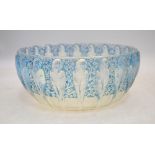 A Rene Lalique circular opalescent and blue tinted bowl, relief moulded in the Perruches (