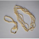 A single row uniform Japanese cultured pearl necklace, knotted throughout onto oval yellow metal