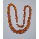 A row of graduated facetted amber beads, approx 53g