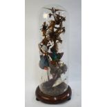 A Victorian glass dome cased taxidermy display of eight colourful song birds, in naturalistic