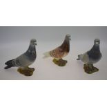 Three Beswick models of pigeons, two grey and one brown, no. 1383, 14.5 cm high (3) All good