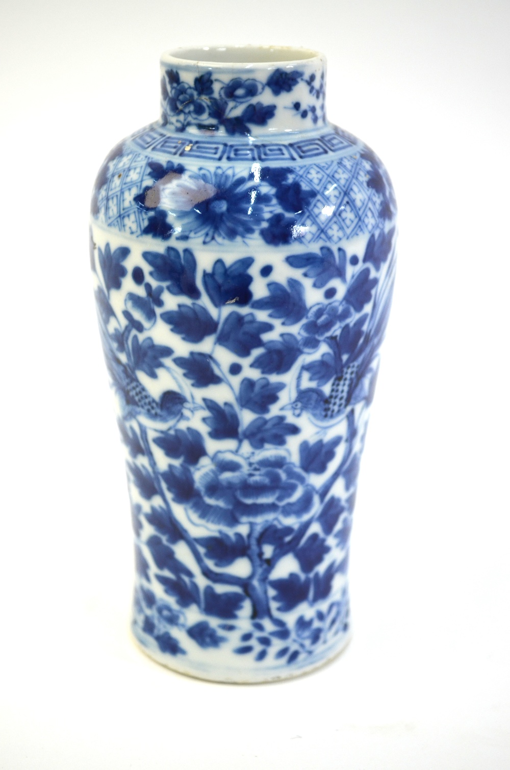 A Chinese blue and white vase, decorated with long-tailed birds, peony heads and dense foliage, 19