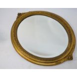 A Victorian gilt framed oval mirror with bevelled plate, 68 x 51 cm