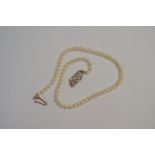 A single row of uniform cultured pearls knotted throughout onto diamond and pearl set scroll clasp