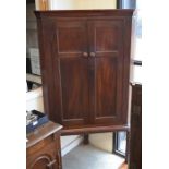 A 19th century mahogany corner cupboard on stand with a pair of panelled doors enclosing two shelves