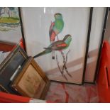 Three parakeet prints after Gould and Richter to/w two watercolours of young ladies