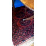 Afghan red ground carpet with repeating large gul design 250 x 166