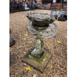 A Victorian style weathered cast stone birdbath on a square plinth base