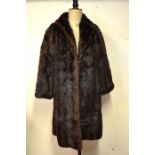 A dark brown shadowed musquash fur coat, 51 cm across chestTwo small tears to shoulder/collar area