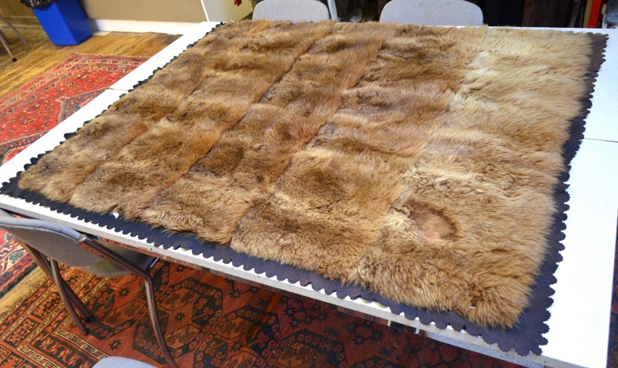 An early 20th century Australian fur rug with felt backing, label for 'P Lawrence, Furrier and Rug - Image 2 of 3