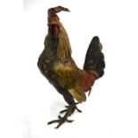 A large Bergman Vienna cold-painted bronze cockerel, 31 cm high overallGood condition no defects