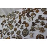 A Collection of circa One hundred and twenty five cap badges, including East Lancashire,