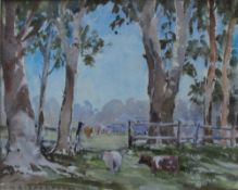 A M Richardson Cattle in a field Watercolour Signed 27 x 33.