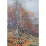 George Cockram An autumnal woodland scene Watercolour Signed 75 x 50cm