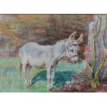 G Edward Collins An old favourite A donkey eating a carrot Watercolour Signed and dated 1908 14 x