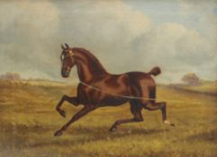 Attributed to Albert Clark "Rufus" A lunging horse Oil on canvas 29 x 39cm CONDITION
