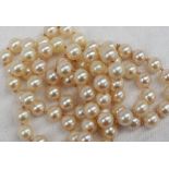 A long string of seventy regular pearls,