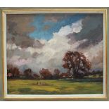 Alison Rylands The Field, Haughton Oil on canvas Signed and dated verso '95 24.5 x 29.