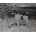 After Arthur Wardler A Fox terrier A print Together with a large collection of paintings and