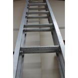 An Abru Starmaster professional ladder