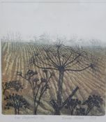 Norma Haines Near Claybrooke A limited edition etching No.