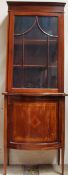 An Edwardian mahogany display cabinet