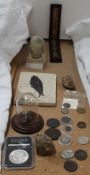 A fossil fish together with crystals, carved head, sovereign scales, Morgan silver dollar, 1889,