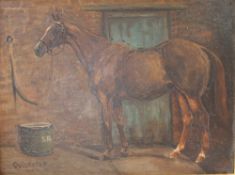 20th century British School Quickstep A study of a racehorse in a stable Oil on board initialled