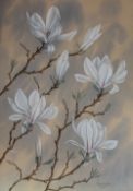 Nigel Wykes Magnolia Conspicua Watercolour Signed and The Tryon Gallery Ltd label verso 48 x 33.