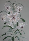 Nigel Wykes Lilium Auratum Watercolour Signed and The Tryon Gallery Ltd label verso 55 x 42.