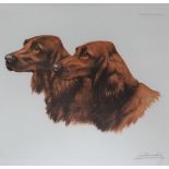 After Leon Danchin Red setters A signed print 48 x 54cm