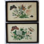 A pair of Chinese pith or rice paper paintings,