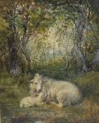 J H Sharp A ewe and lamb in a wooded landscape Oil on canvas Signed and dated '79 29 x 23.