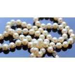 A pearl necklace, set with seventy regular individually knotted pearls to a 9ct gold clasp,