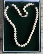 A pearl necklace with fifty four regular pearls to a 9ct yellow gold clasp,