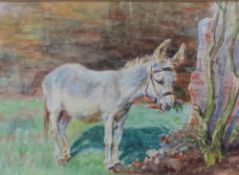 G Edward Collins An old favourite A donkey eating a carrot Watercolour Signed and dated 1908 14 x