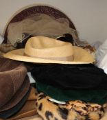 Assorted ladies hats