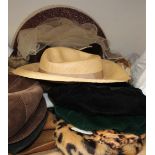 Assorted ladies hats