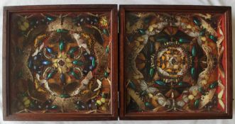 Entomology - A hinged display of Beetles, Moths and butterflies, glazed folding display,