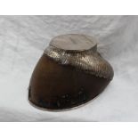 A Rowland Ward electroplated mounted horse's hoof, the circular hinged cover inscribed "Marauder",