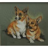 Marjorie Cox A pair of Corgis Pastels Signed and dated 1965 45 x 49.