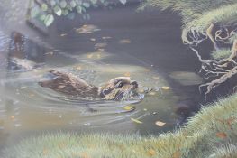 Pollyanna Pickering An otter swimming towards the bank Acrylics \Signed and dated '92 50.