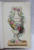 Twamley, (Louisa Anne), The Romance of Nature or The flower seasons illustrated,