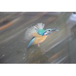 Pollyanna Pickering A Kingfisher with a fish in its beak leaving the water Acrylics Signed and